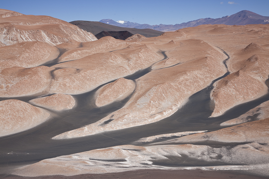 Puna de Atacama, Argentina