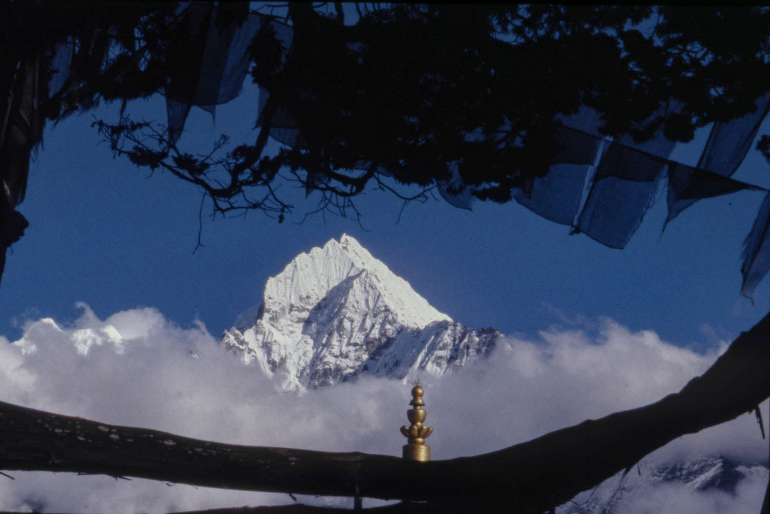Tama Serku, Nepal